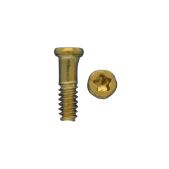 Screw Box 2.0 Refill [ 1R3 ] (100 Pack)