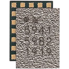 Power Amplifier IC For iPhone XS Max (Sky5941)