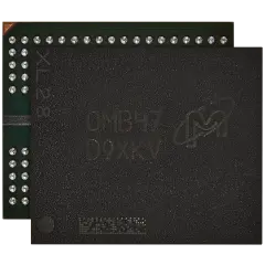 GDDR6 Memory Chip For PlayStation 5 (D9XKV) (Micron)