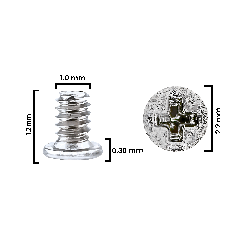 Internal Screw Set (M1.0×1.2×2.2D×0.30T) For iPhone 12 Pro Max (30 Pack) (Silver) (Service Pack)