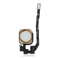 Home Button With Flex Compatible For iPhone 5S / SE (2016) (Gold)