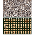 Low Frequency Diversity Reception Compatible For iPhone 8 / 8 Plus