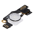 Flashlight Flex Cable Compatible For iPad Pro 11" 5th Gen / 13" 7th Gen (2024) (Premium)
