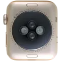 Housing Assembly Compatible For Watch Series 2 (42MM) (Used OEM Pull: Grade A) (Cellular Version) (Aluminum / Gold)