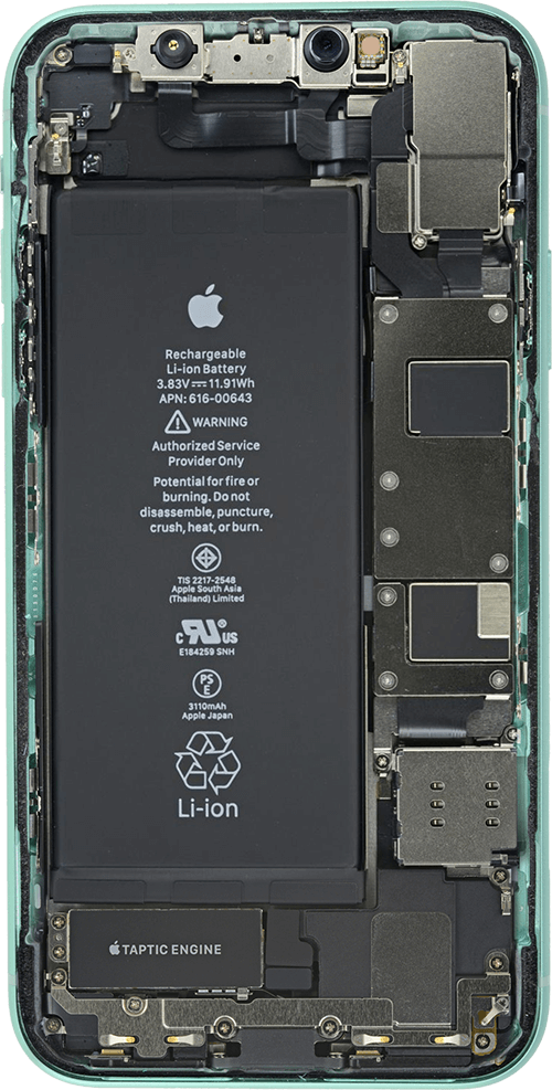 ip11-Back
