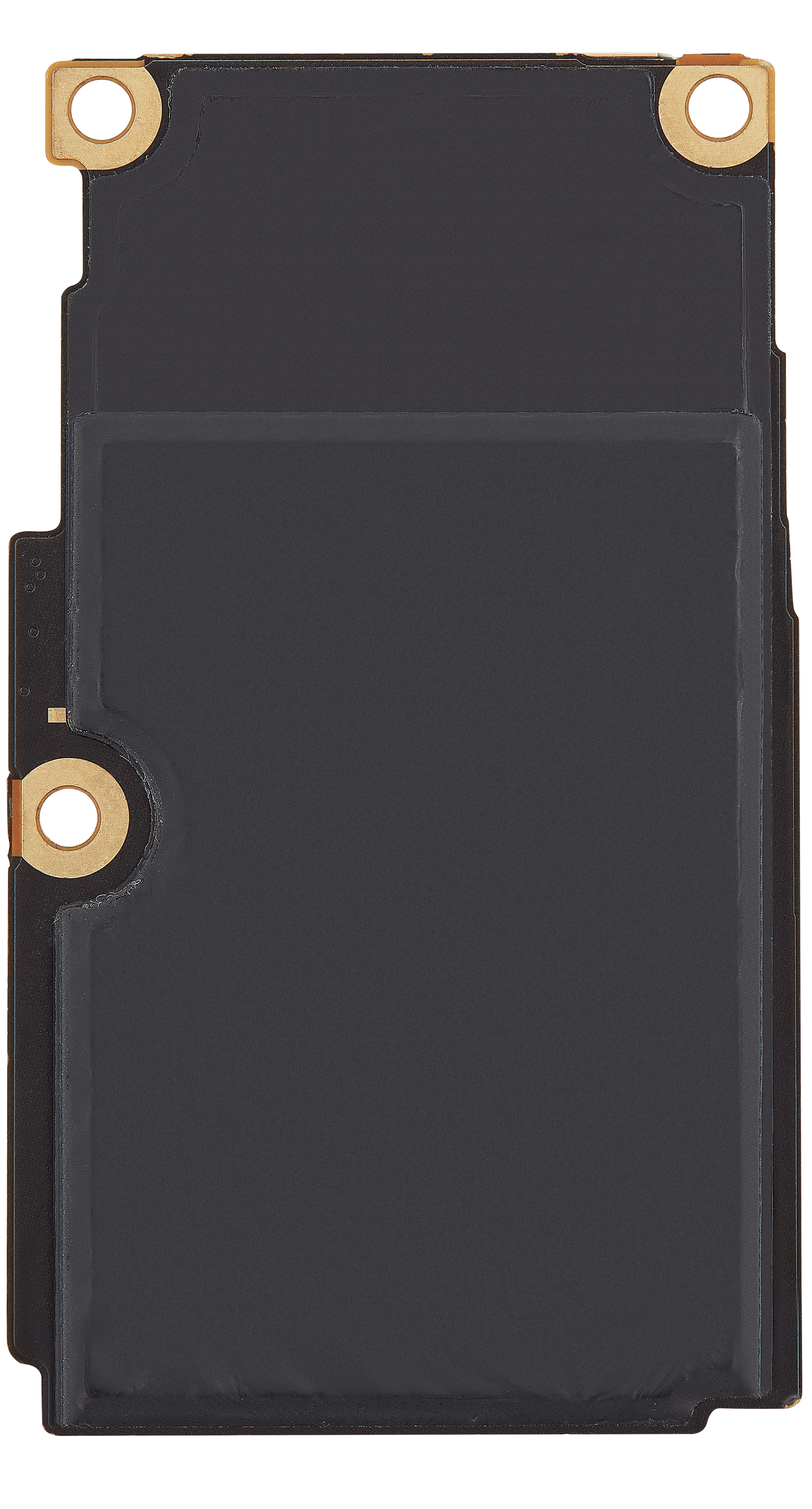 Bottom logic board rear view