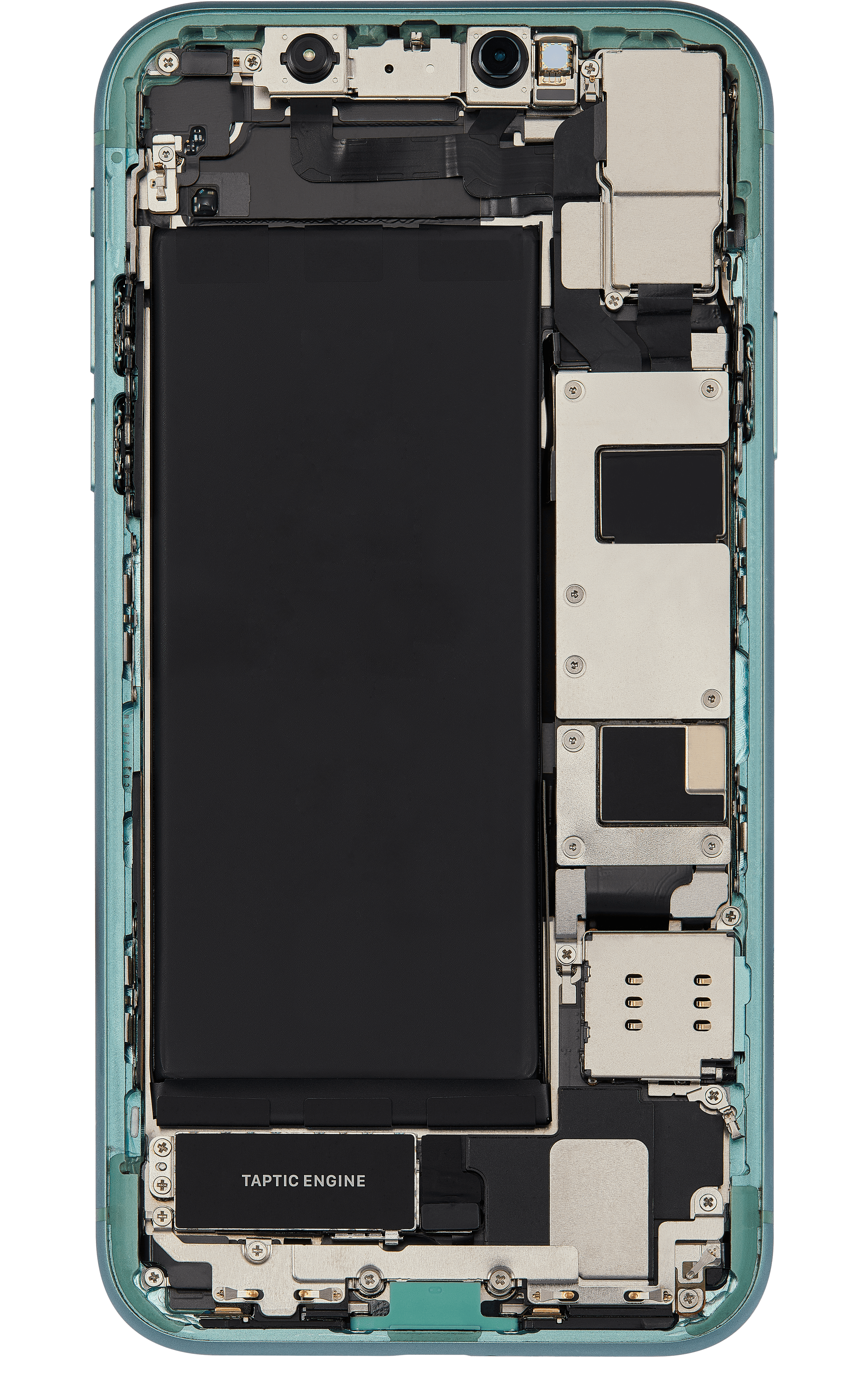 Back_side