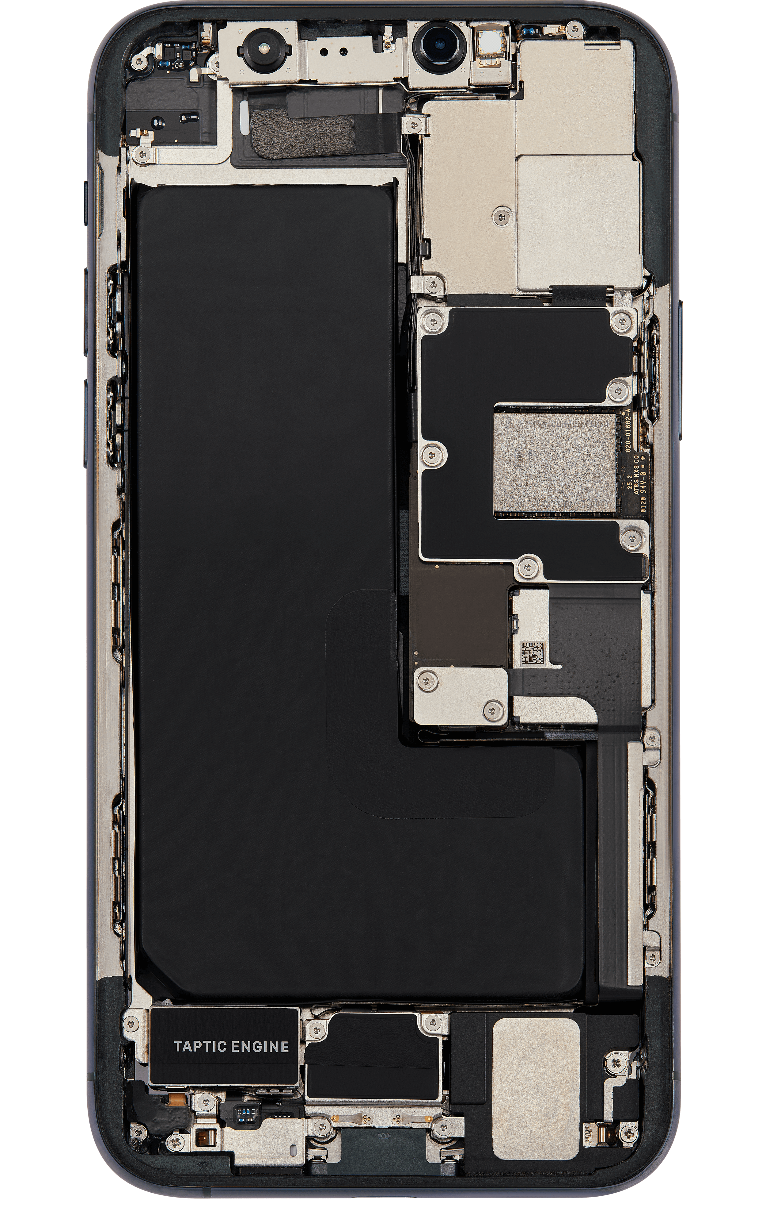 Back_side