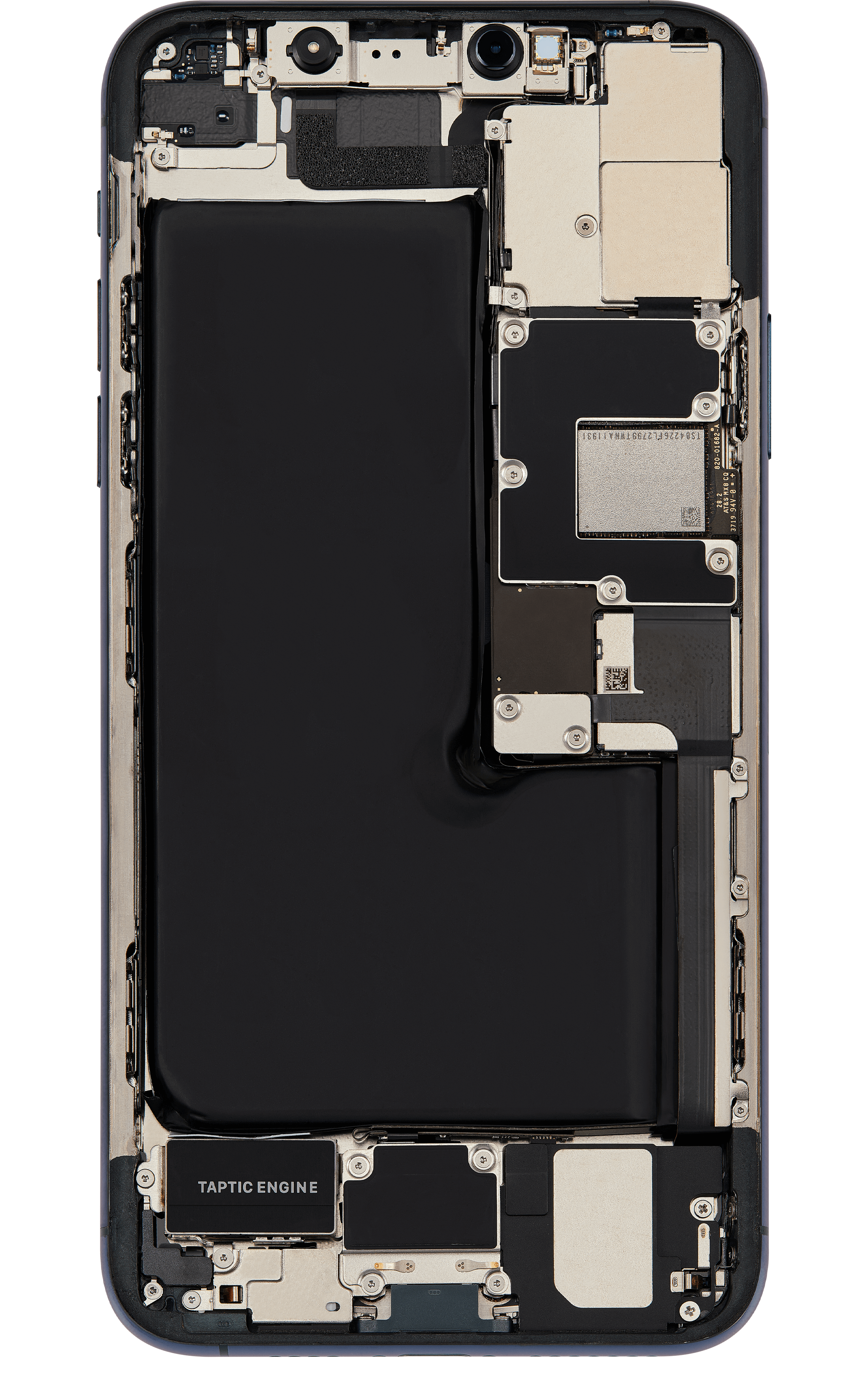 Back_side