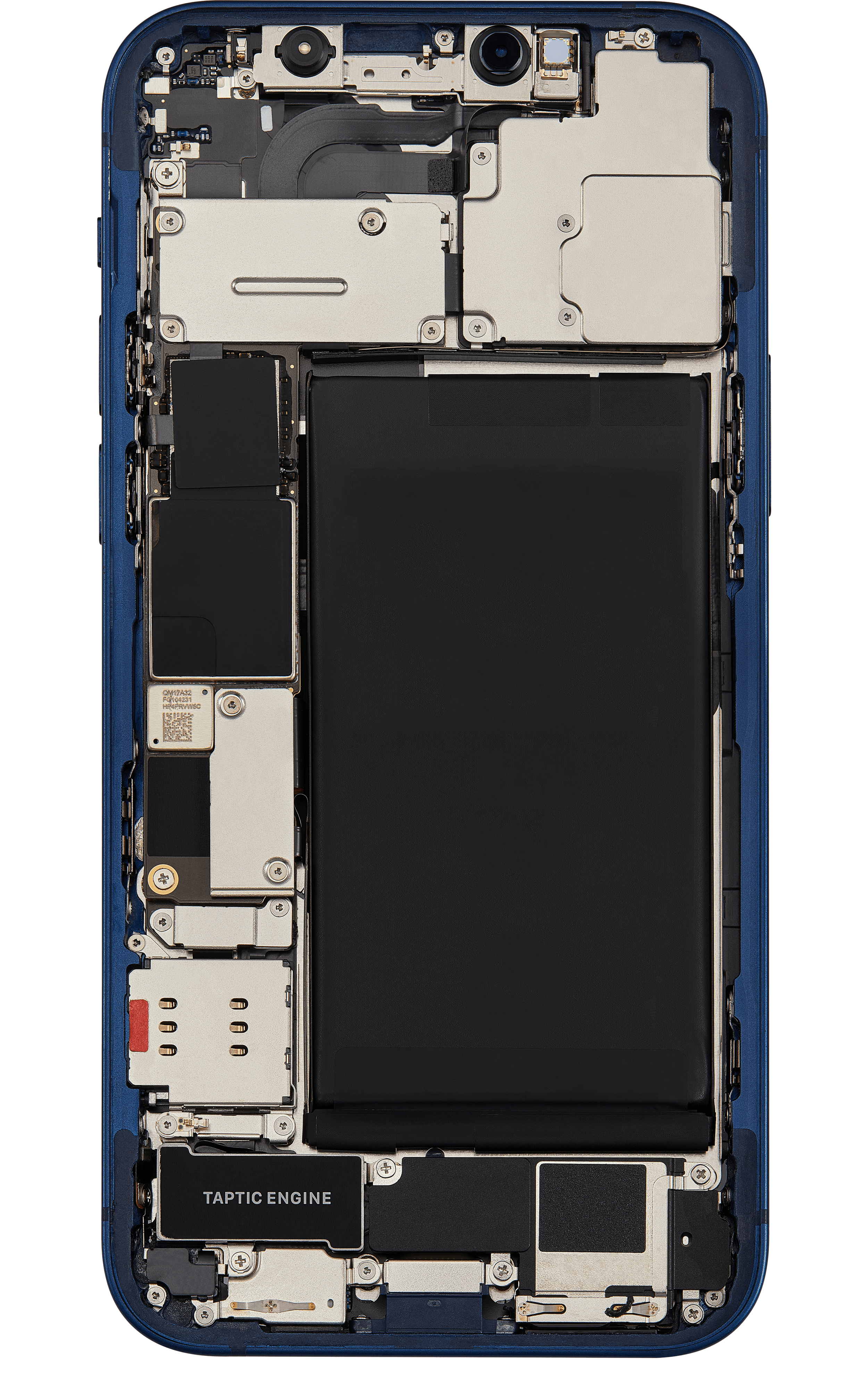 Back_side