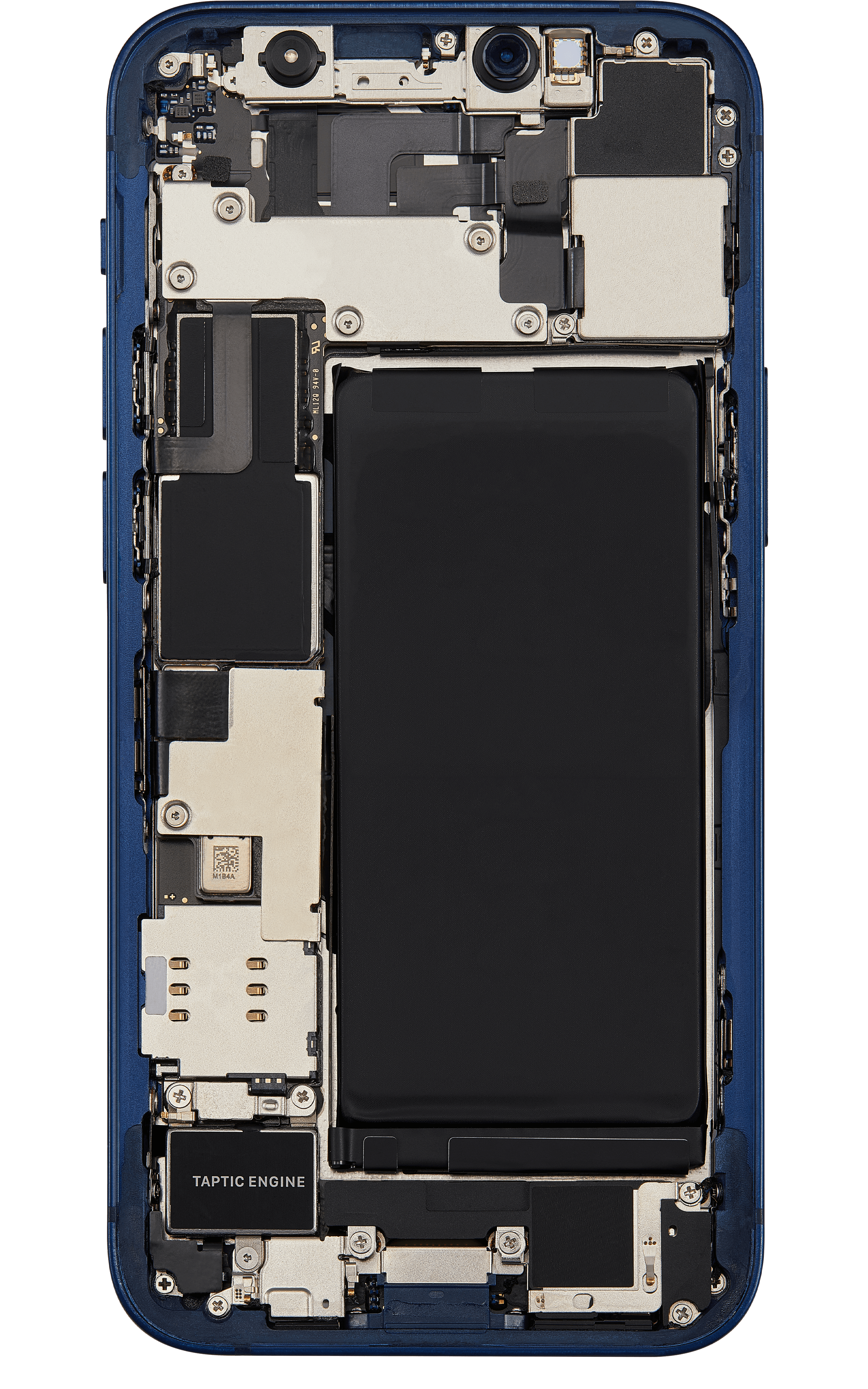 Back_side