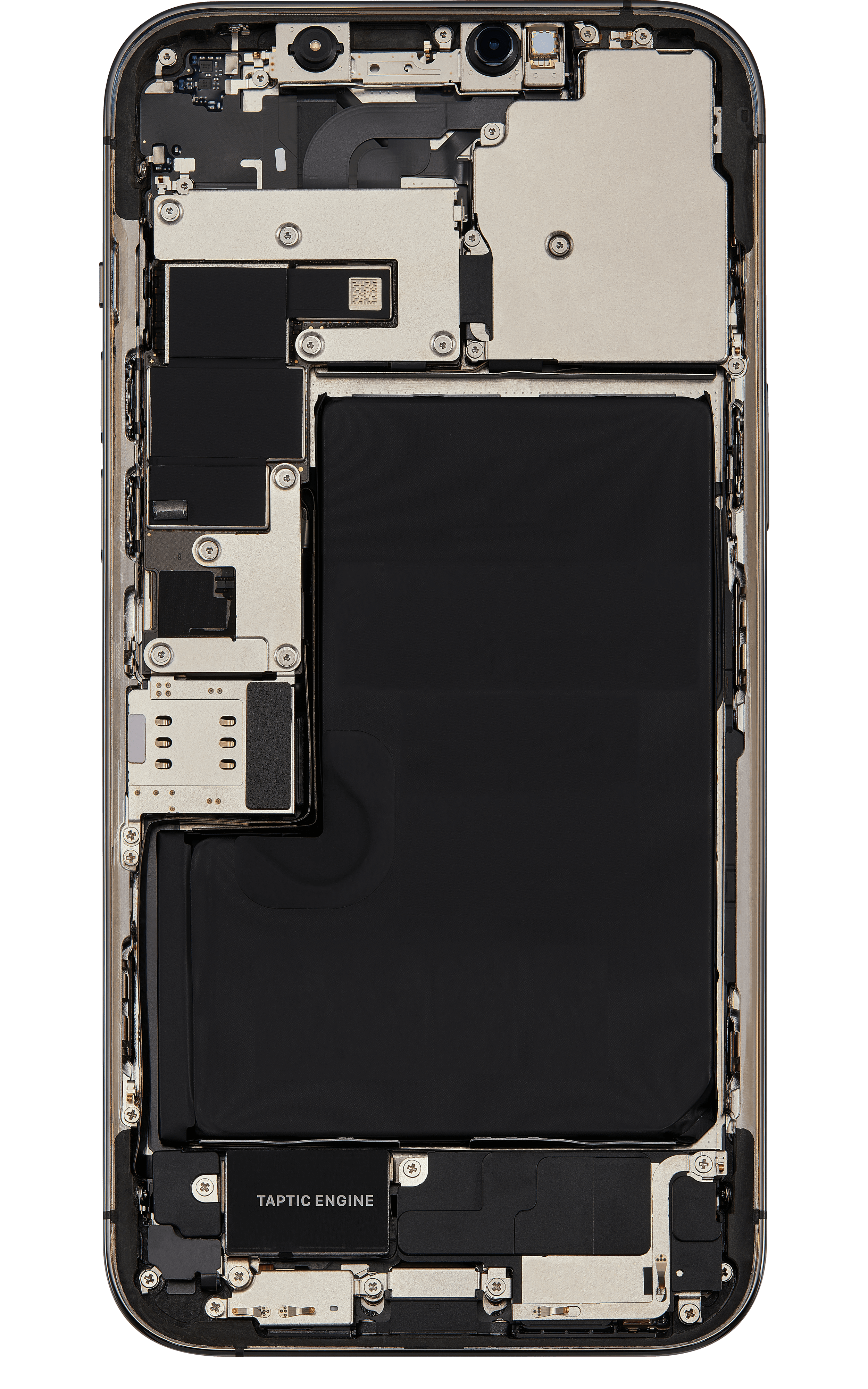 Back_side