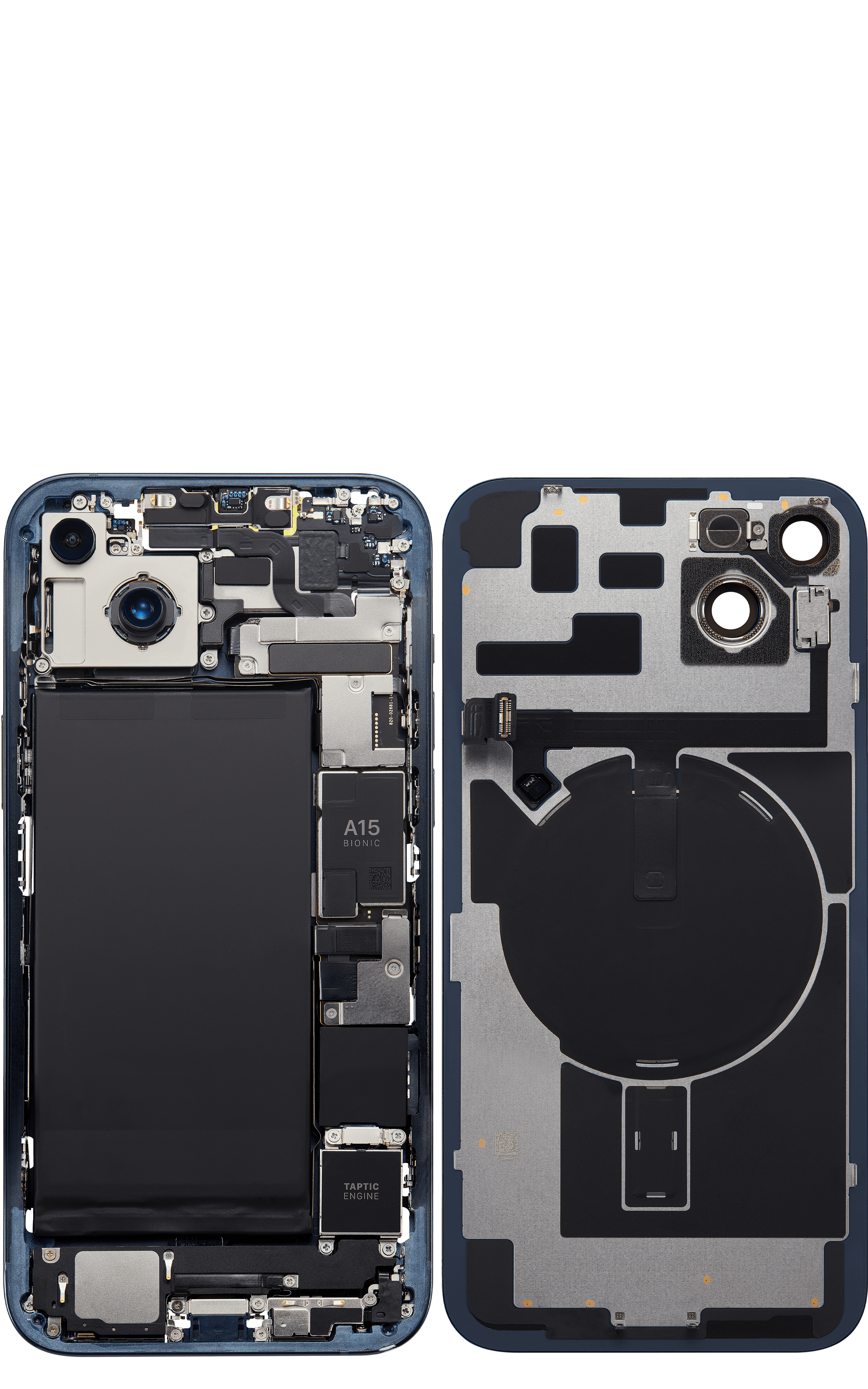Back_side