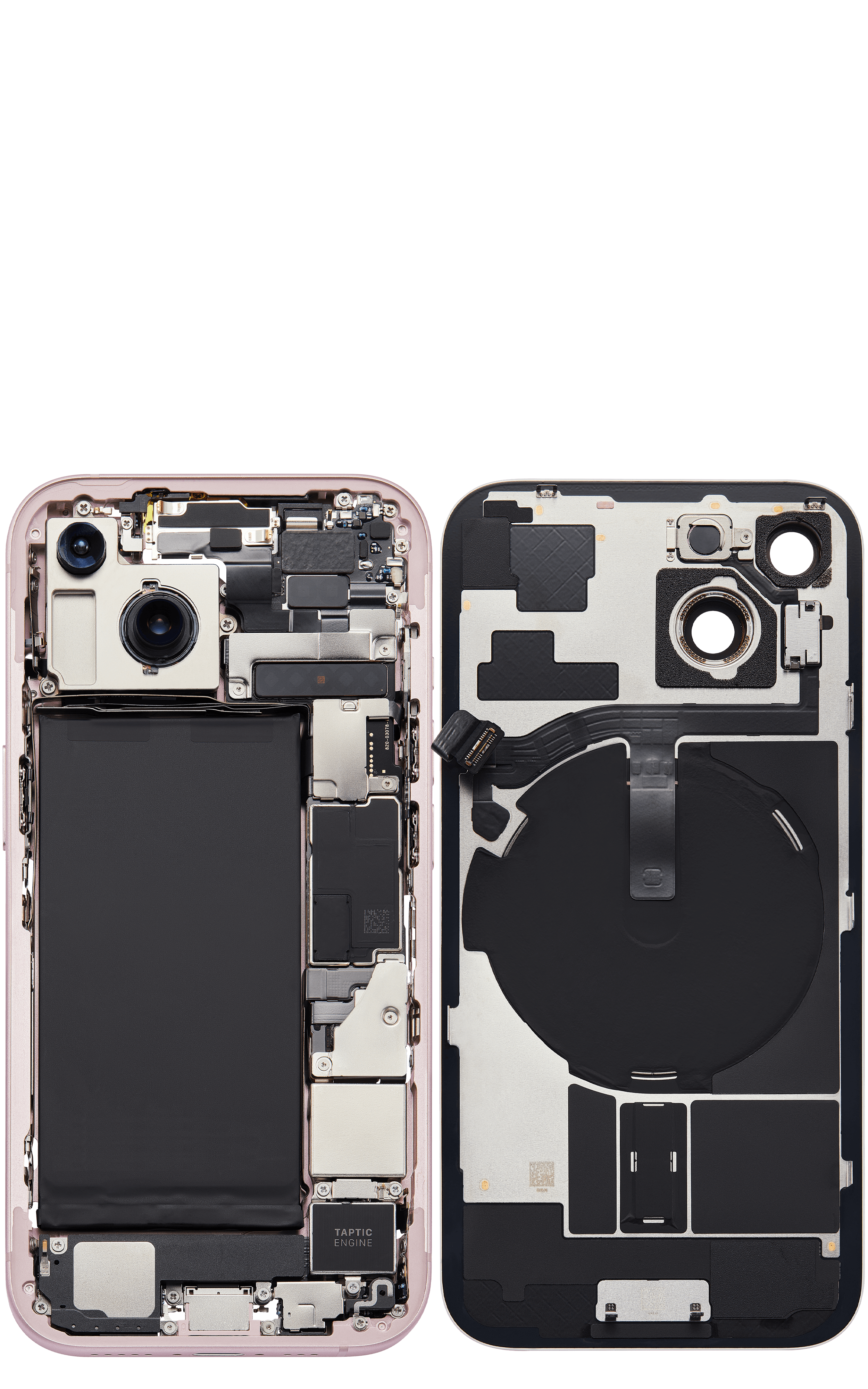 Back_side