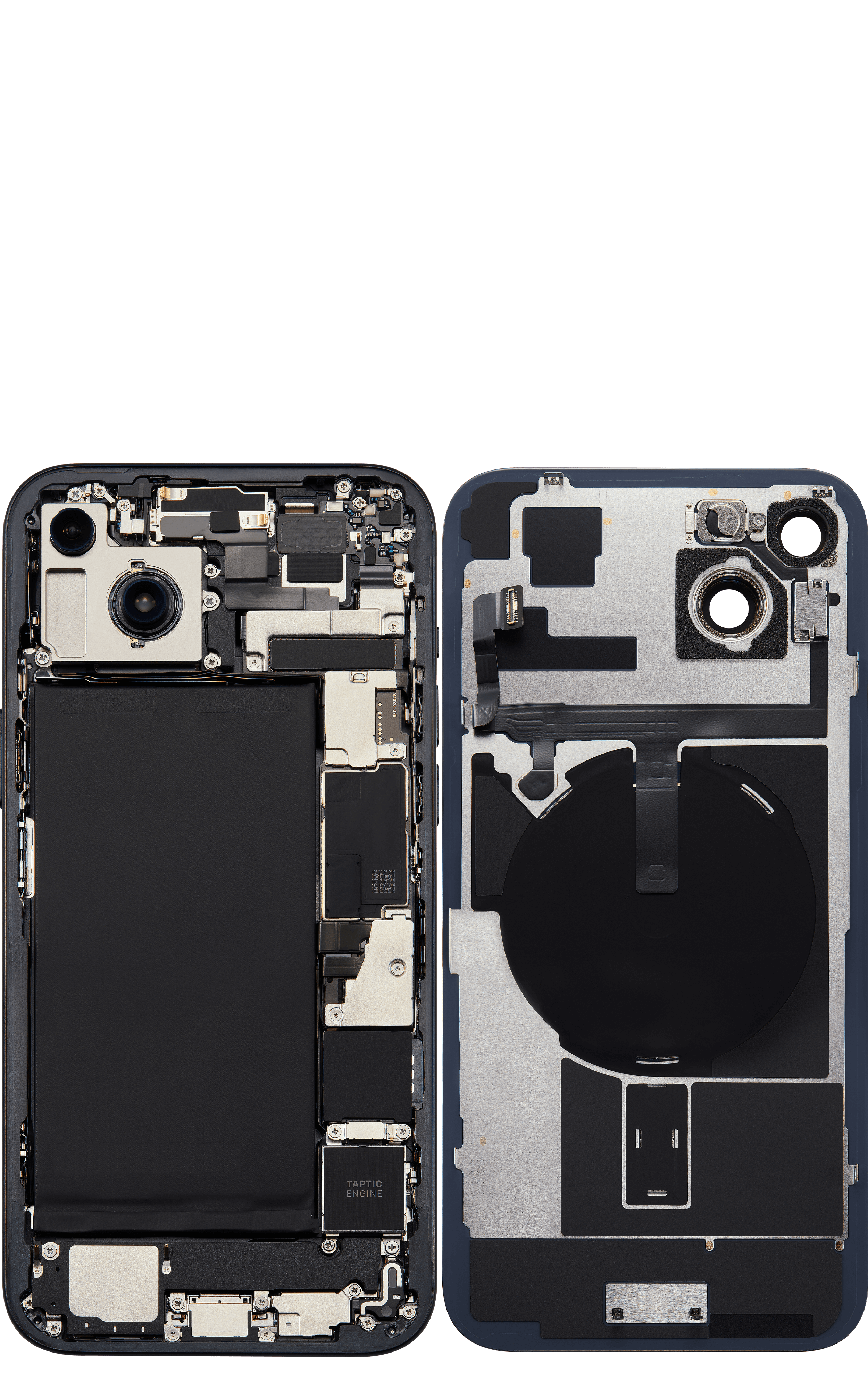 Back_side