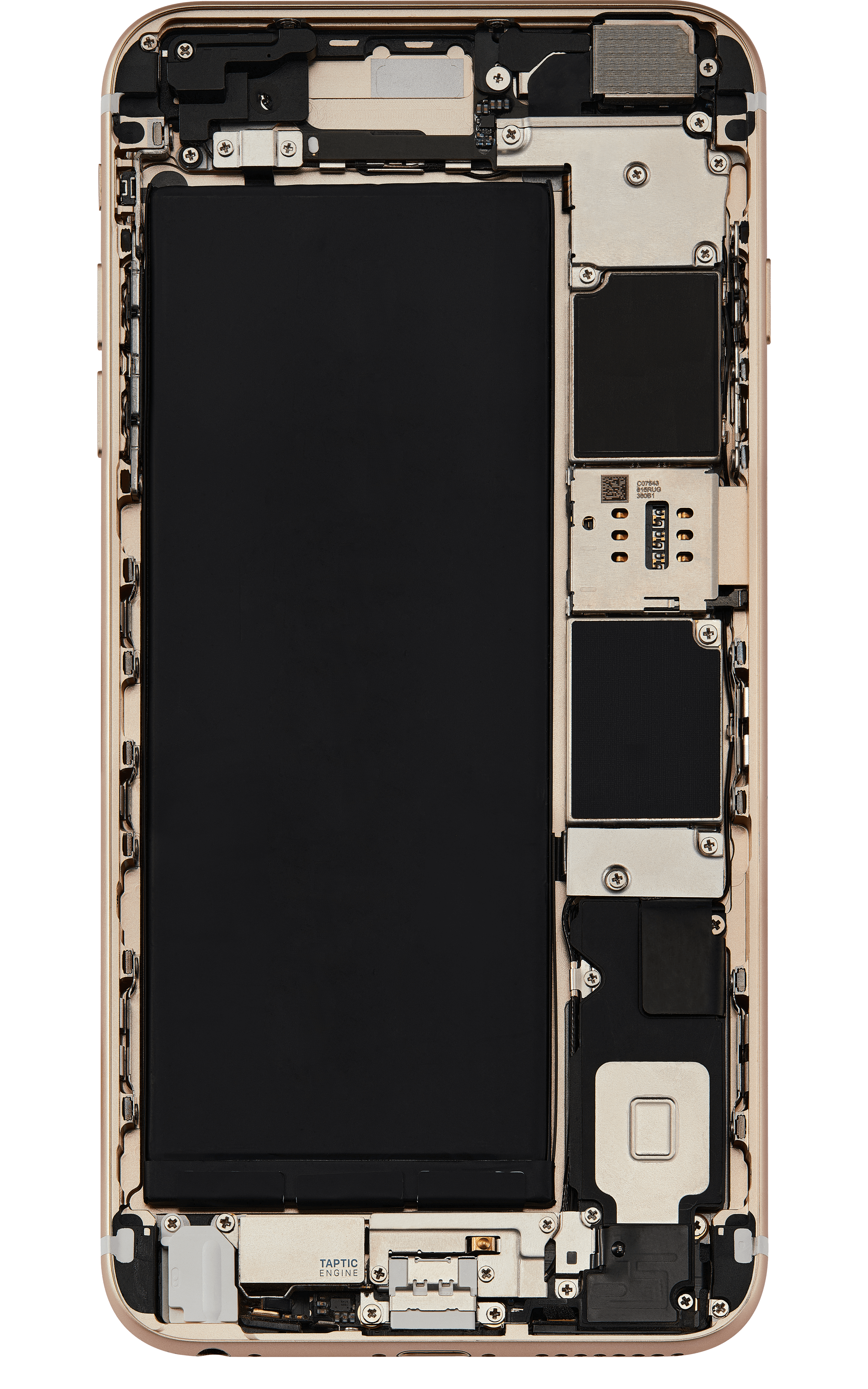 Back_side