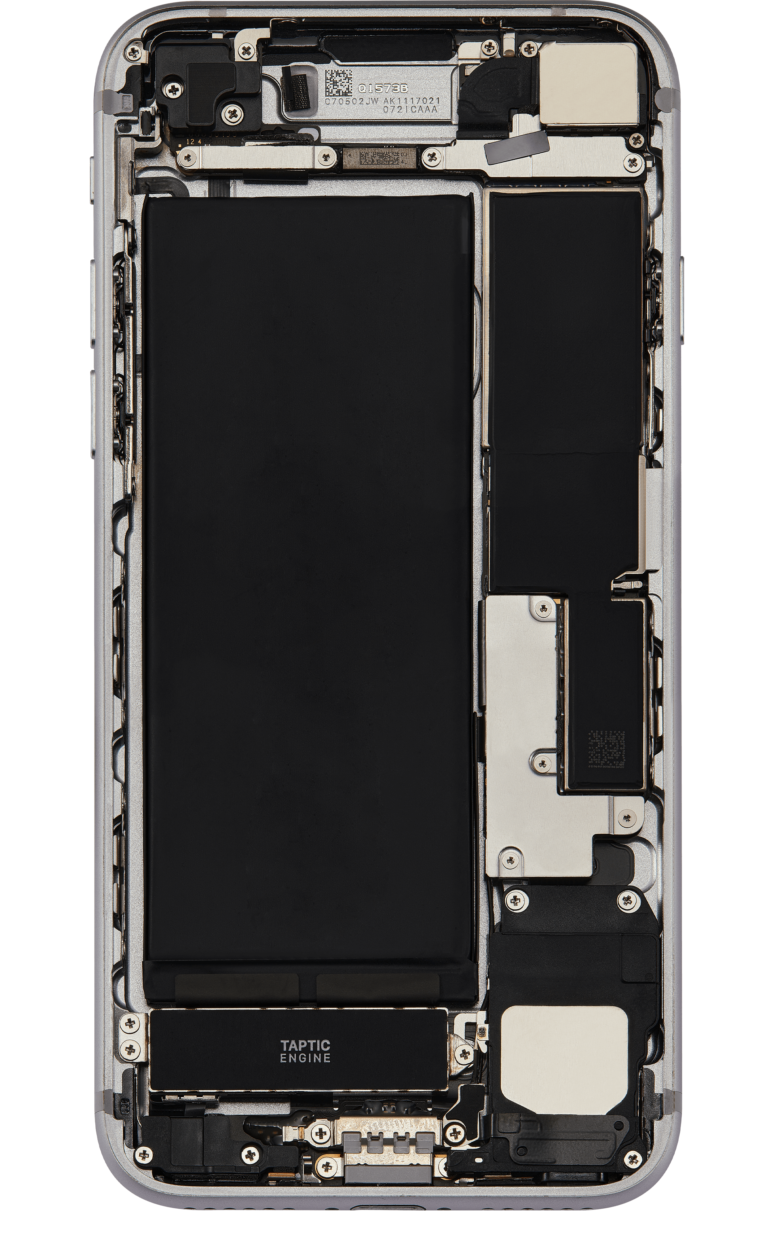 Back_side