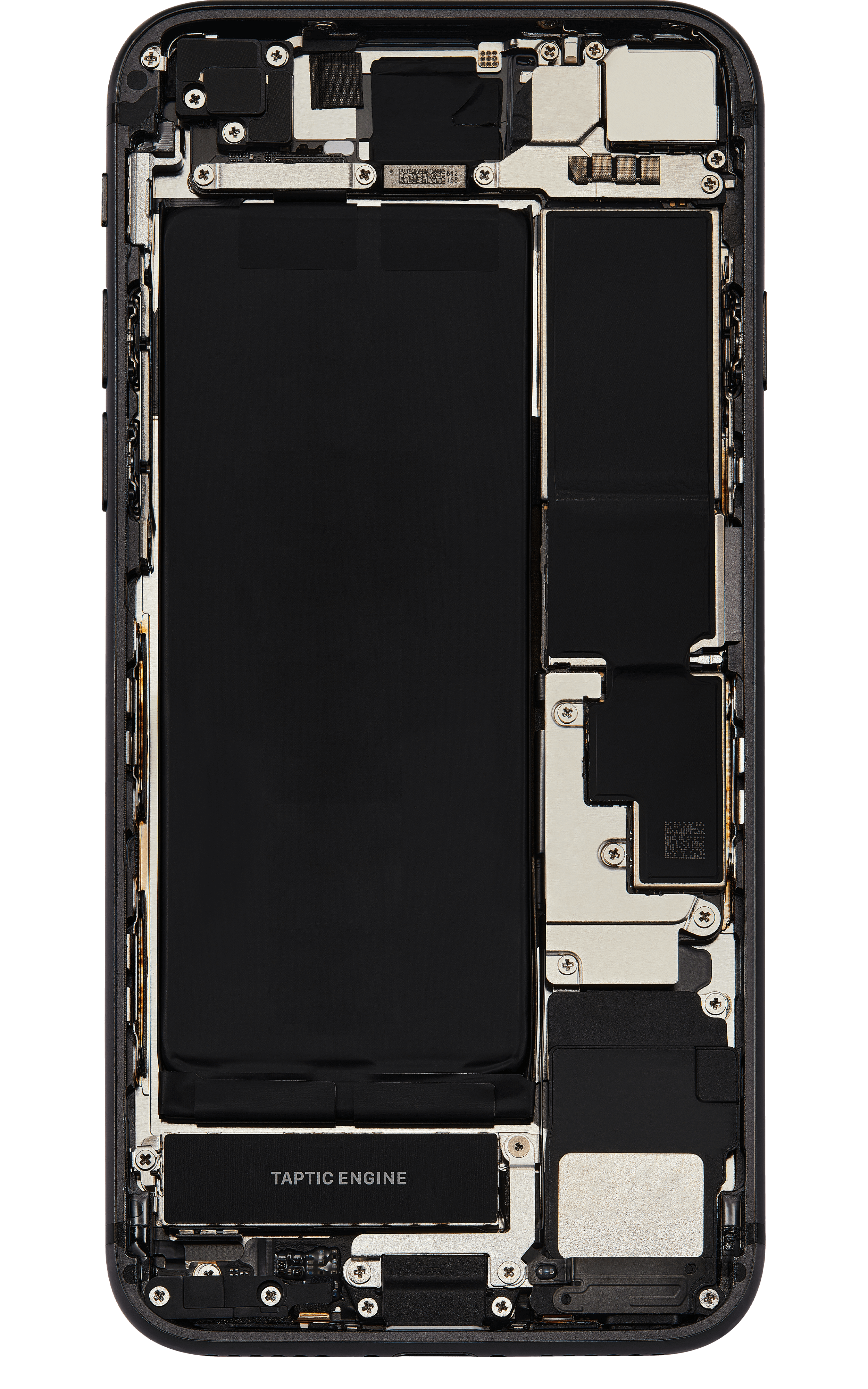 Back_side