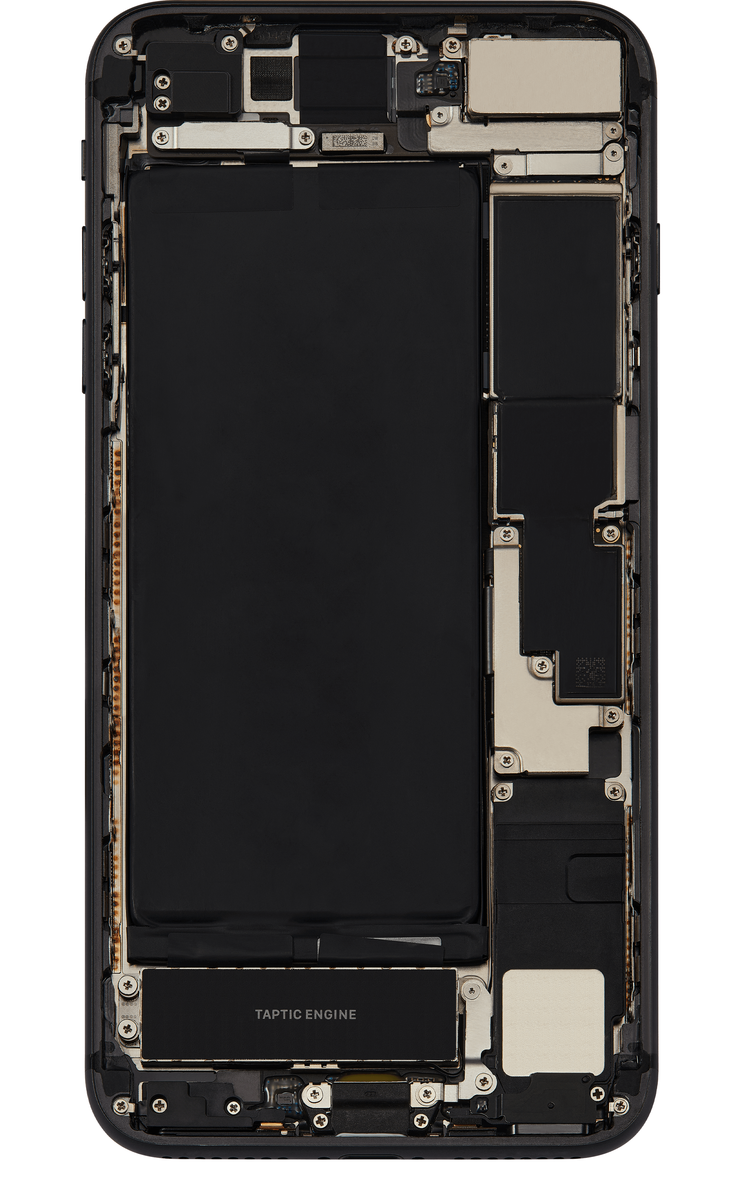 Back_side