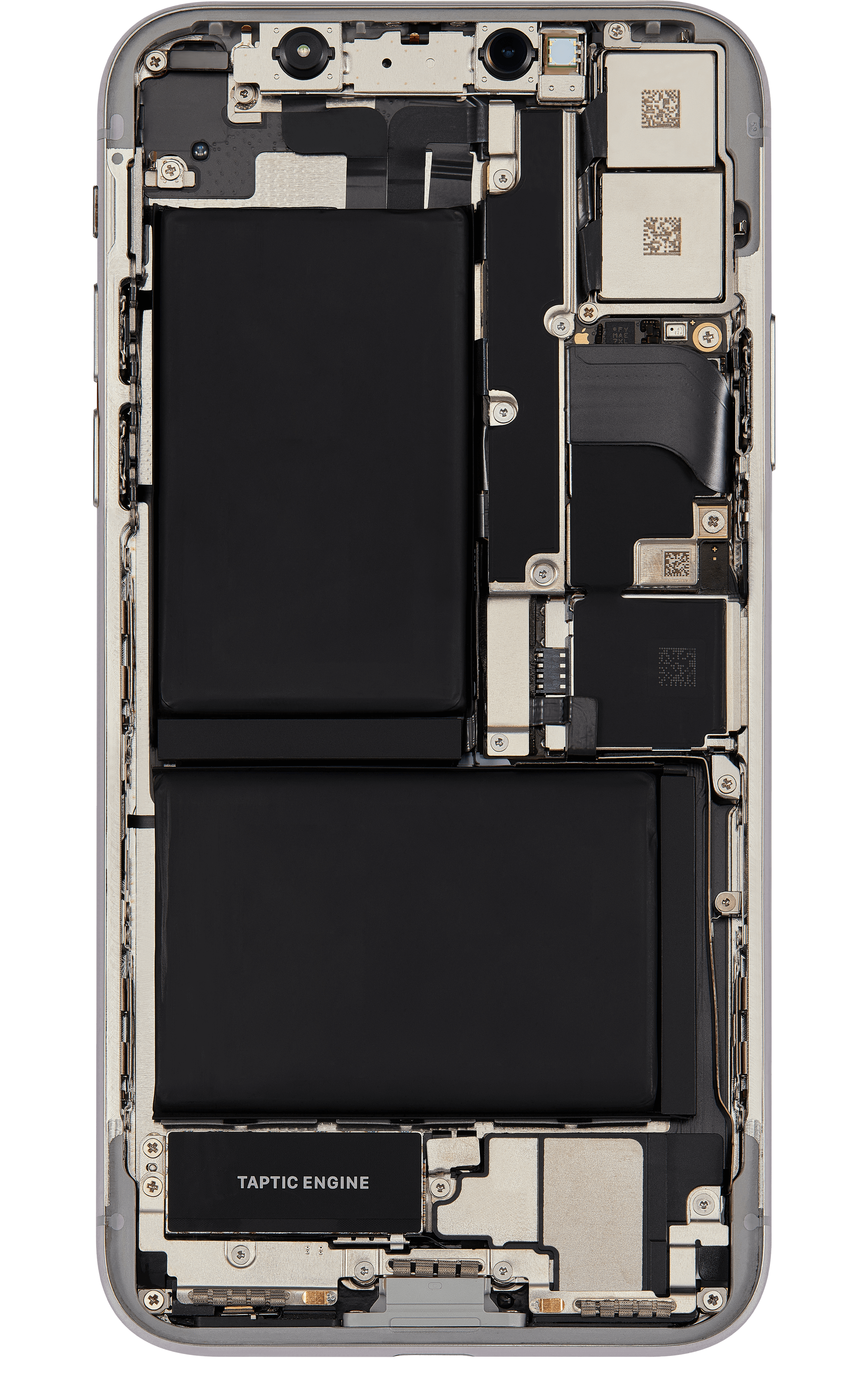 Back_side