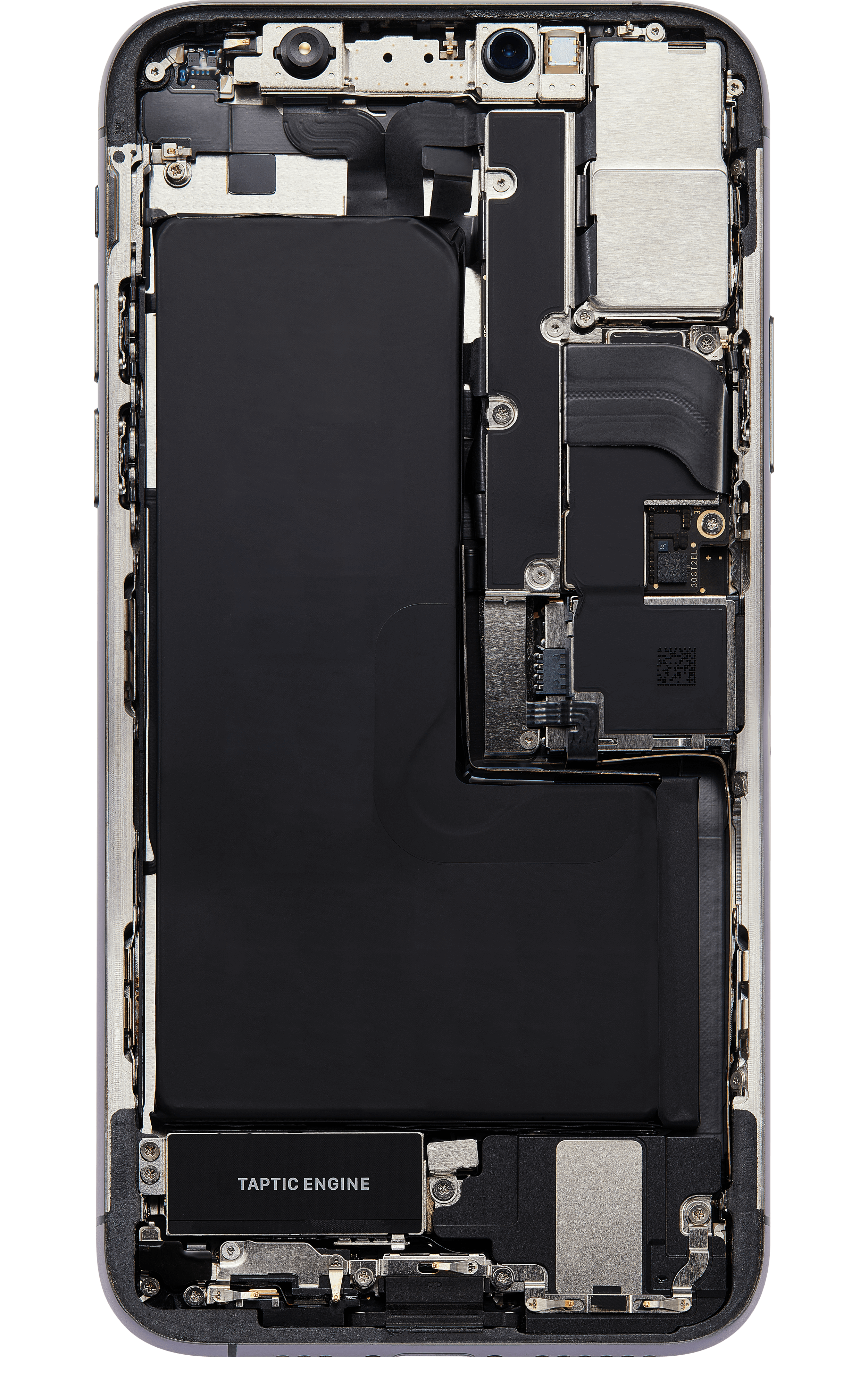 Back_side