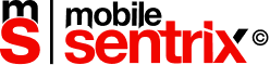 Msentrix Logo